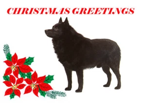 SCHIPPERKE SINGLE DOG PRINT GREETING CHRISTMAS CARD - Picture 1 of 1