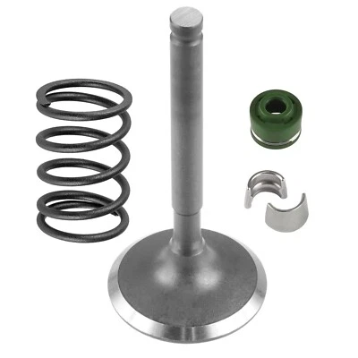 Intake Valve Kit for Kawasaki Mule 4010 Trans KAF620 4x4 2015 2016 2017-2023 Foto 1 de 4