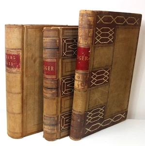 Viktorianische/edwardianische ledergebundene Bücher Dreschen Landwirtschaft Landwirtschaft Konten - Bild 1 von 23