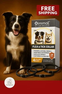 Dog Flea Collar Treatment Pet Adjustable 24 Month Protection 4 PACK COLLARS - Picture 1 of 7