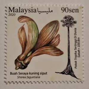 Malaysia 2020 Pokok Tropika Tertinggi Di Dunia World Tallest Tree Stamp 1v MNH - Picture 1 of 3