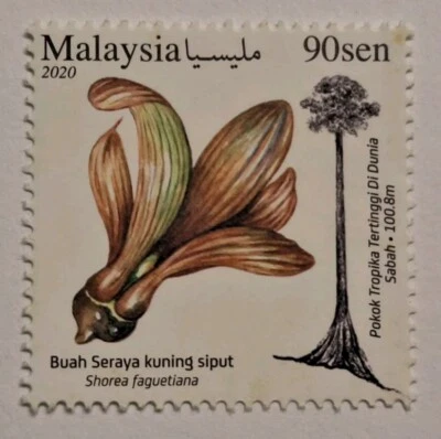 Malaysia 2020 Pokok Tropika Tertinggi Di Dunia World Tallest Tree Stamp 1v MNH - Image 1 of 3