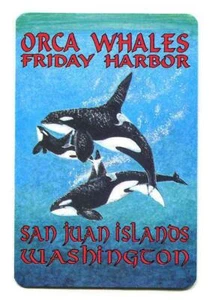 Orca Whales Friday Harbor San Juan Islands, Washington Souvenir Single Swap Card - Picture 1 of 2