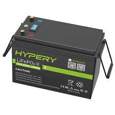 Lithium LiFePO4 Akku 12V 200Ah Batterie mit Bluetooth BMS Wohnmobil Camping RV