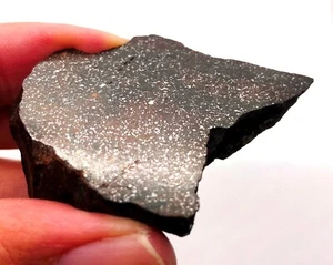 79 Gramm NWA 1458 Meteoritenendschnitt - H4 Chondit - Bild 1 von 11