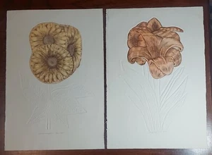 "Summer Sunflower" and "Lovely Lily" embossed etchings by Artist David Olson - Picture 1 of 13