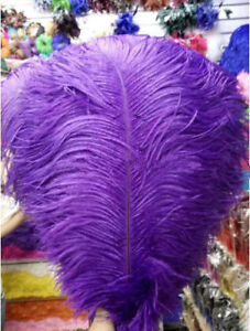 Wholesale 10-100pcs 6-24 Inch/15-60 Cm High Quality Natural Ostrich Feathers 