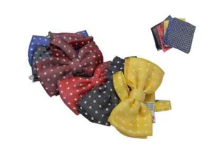 Papillon uomo a pois completo fazzoletto di seta top quality tutti i colori - Imagen 1 de 12