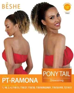 CORDÓN COLA DE CABALLO PT-RAMONA AFRO KINKY 10" - ELIGE COLOR POR MENSAJE - Imagen 1 de 4