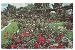5000 ROSE Garden BOERNER BOTANICAL Whitnall Hales Corners WISCONSIN Cartolina - Foto 1 di 2