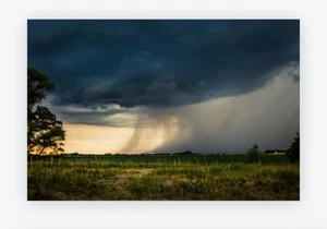 Summer Rain Storm-8x12 Bamboo Panel w/Keyhole Hook on back-SD Home Decor-New - Picture 1 of 2