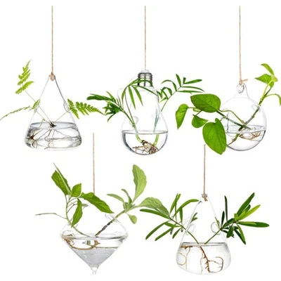 Glas Hängen Pflanzgefäße Wasserpflanzenbehälter Terrarium Kerzenhalter Indoor... - Bild 1 von 4