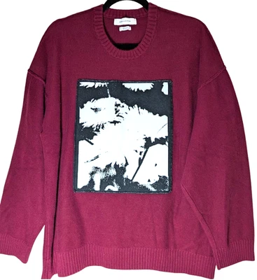 URBAN OUTFITTERS Men's X-Large Burgundy Sweater w/Graphic Long Sleeve Crew Neck - Image 1 of 4