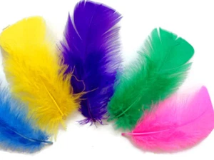 1/4 Lb Bright Mix Turkey T-Base Plumage Wholesale Feathers Bulk School Project - Picture 1 of 9