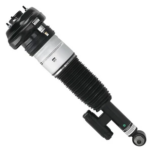 Rear Air Suspension for BMW 7 Series G11/G12 2015-2022 Right Side 37107915954 - Picture 1 of 12