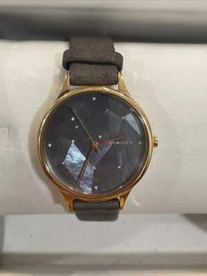 Skagen SKW2390 Foto 1 de 4