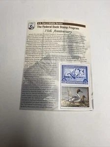 RW75C 2008 - Bundesentenstempel - neuwertig OG NH *RW1 75th Anniversary* - Bild 1 von 2