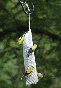 Hervidor Moraine 11" Pequeño Nyjer Cardo Semilla Calcetín Saco Alimentador de Pájaros Malla Pesada - Imagen 1 de 1