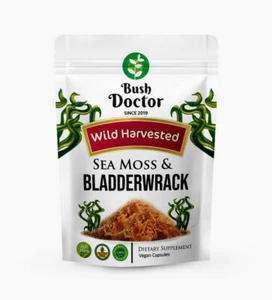 Wild Harvested Sea Moss /Irish Moss and Bladderwrack 200 Vegan Capsules Dr Sebi - Picture 1 of 9