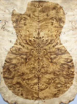 5A Electric Bass Top Golden Camphor Wood Burl Bookmatch Set Luthier Supply - Image 1 of 4
