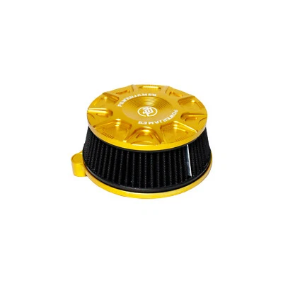 Gold Air Filter for Harley Softail 2014-15 FLSTNSE, 2013-14 FXSBSE, 11-12 FLSTSE Foto 1 de 4