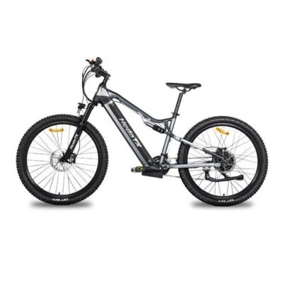 Heda TX19 29 Zoll Elektrofahrrad 48V 15.6Ah E-Mountainbike 500VV Adult City Bike