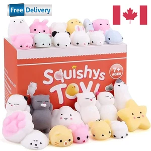 Lot de jouets Mochi Squishy - 25 jouets en caoutchouc souple assortis pour célébrations enfants - Photo 1 sur 7
