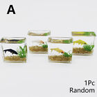 1pc Aquarium Model Mini Fish Tank 1:12 Scale Dollhouse Miniature DIY Ornaments