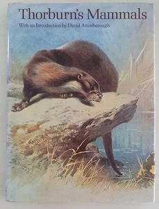 Thorburn's Mammals - Introduction By David Attenborough Hardcover. Ref00100 - Picture 1 of 6
