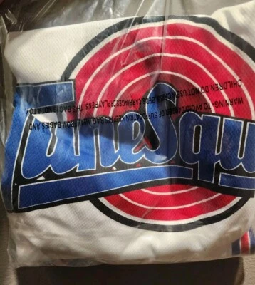 Camiseta Tune Squad Windy City Bulls Liga G Space Jam Talla L NUEVA AGOTADA Foto 1 de 4