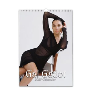Gal Gadot Deluxe Photo 2025/6 choose start month calendar - Picture 1 of 2