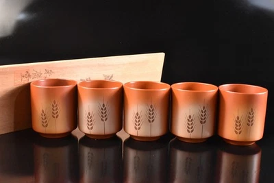 U4734: TAZA DE TÉ japonesa de cerámica marrón Tokoname-ware 5 piezas, automática con caja firmada Foto 1 de 4