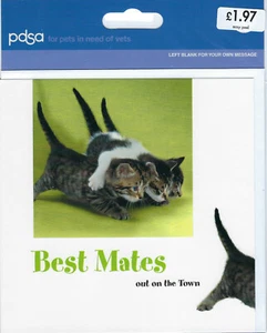 Tarjeta de felicitación PDSA 'Best Mates' - Interior en blanco nueva en embalaje - Imagen 1 de 1
