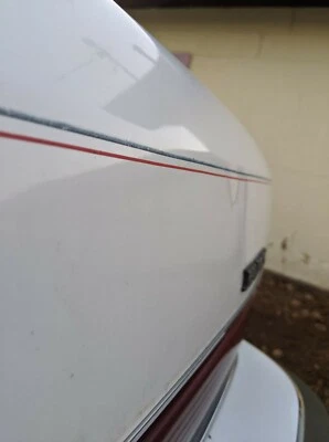 Baúl Buick Roadmaster 1991-1996 tapa cubierta maletero edición limitada de coleccionistas Foto 1 de 4