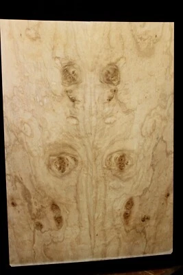 Libro de guitarra con figura de arce plateado, burl/encaje tapa a juego. Foto 1 de 4