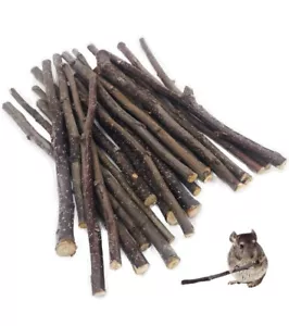 Bastoncini 100 g (3,5 oz) snack per animali domestici giocattoli da masticare per porcellini d'India cincillà scoiattolo - Foto 1 di 9