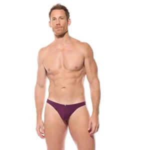 Gregg Homme Mens Caliente Swim Thong - Picture 1 of 15