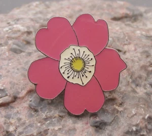 Rosa Canina Dog Rose Wild Flower Pink Bloom Brooch Pin Badge - Picture 1 of 2