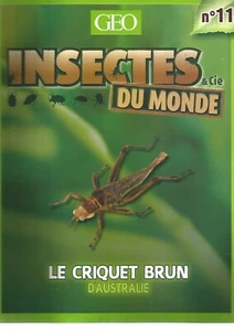 INSECTES & Cie DU MONDE N°11 - LE CRIQUET BRUN D'AUSTRALIE - Photo 1/2