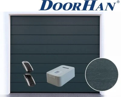 DOORHAN Garagentor Sektionaltor M-Line Auswahl der Farben Woodgrain + Motor Selbsmontage