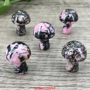 5pcs Natural Rhodonite Jasper Mushroom 1'' Quartz Crystal Skull Carved Reiki Gem - Picture 1 of 12