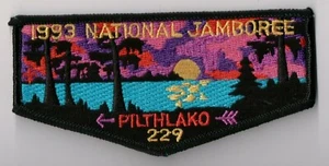 BSA, Pilthlako Lodge 229 S-11 Okefenokee Council Georgia, 1993 Jamboree - Imagen 1 de 1