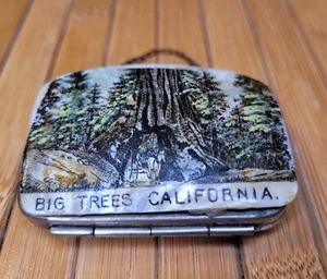 Big Trees California Coin Purse Mother of Pearl Shell Carriage Horse Red Vintage - Picture 1 of 19