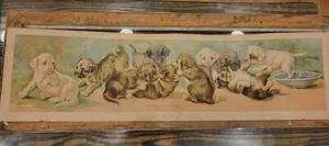 Antique Yard Long Print A Yard Of Puppies Dogs Circa 1900 Fair Antique Condition - Picture 1 of 24