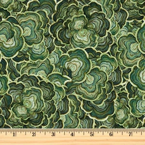Wild Harvest Dark Green Turkey Tail 27516-76 Northcott Fabric By the half yard - Picture 1 of 1
