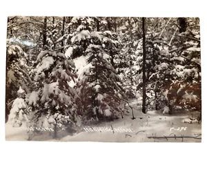 Escena de nieve Munising Michigan MI EE. UU. 1940 RPPC postal sin usar - Imagen 1 de 5