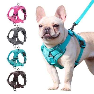 Step in Dog Harness and Leash Set Reflective Mesh Pet Cat Puppy Chest Strap S-XL - Image 1 of 4