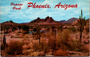 Phoenix Arizona Papago Park Desert View w/ Pond Cactus Vintage C. 1962 Postcard