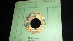 HOT YOU CAN DO IT 45 Rpm,7" Vinyl ~Canada Pressing~BIG TREE BTS16104 - Picture 1 of 2