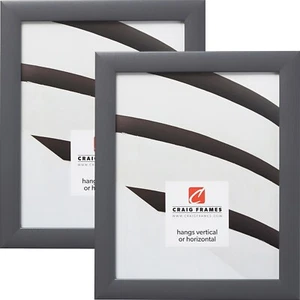 Craig Frames Contemporary, 1 Inch Gray Picture Frame Poster Frames - Set of Two - Picture 1 of 9